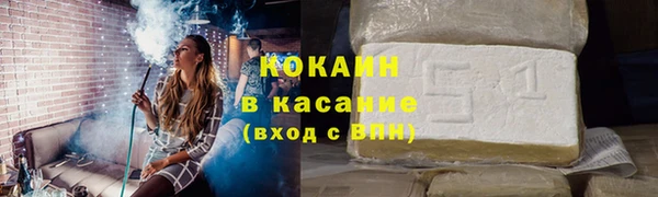 стаф Бородино