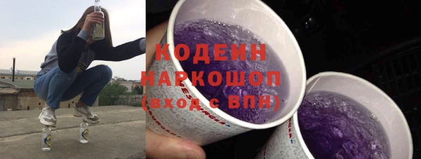 стаф Бородино