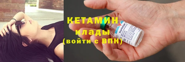 стаф Бородино