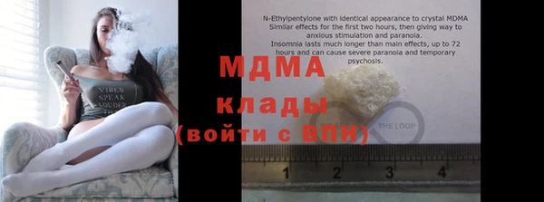 стаф Бородино