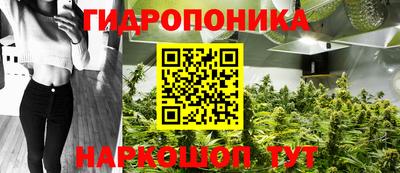 сатива Балаково
