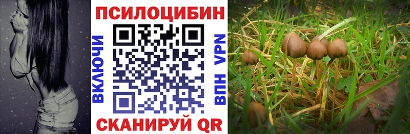 Галлюциногенные грибы Cubensis  Бугуруслан 