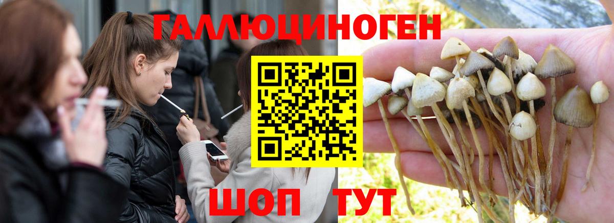 Галлюциногенные грибы GOLDEN TEACHER  Галлюциногенные грибы Magic Shrooms  Бугуруслан  купить закладку  Вход с VPN 