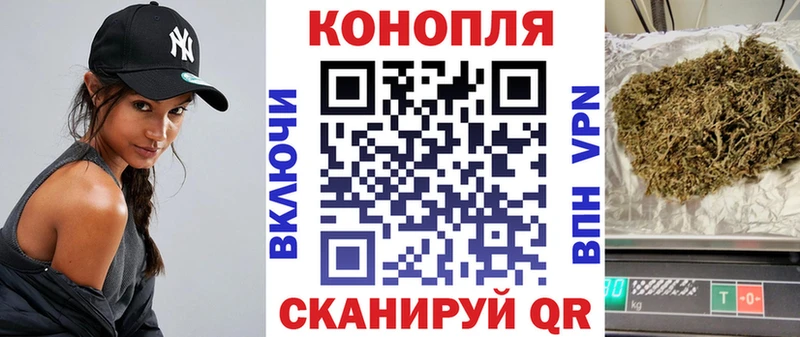 Конопля гибрид  Бугуруслан 